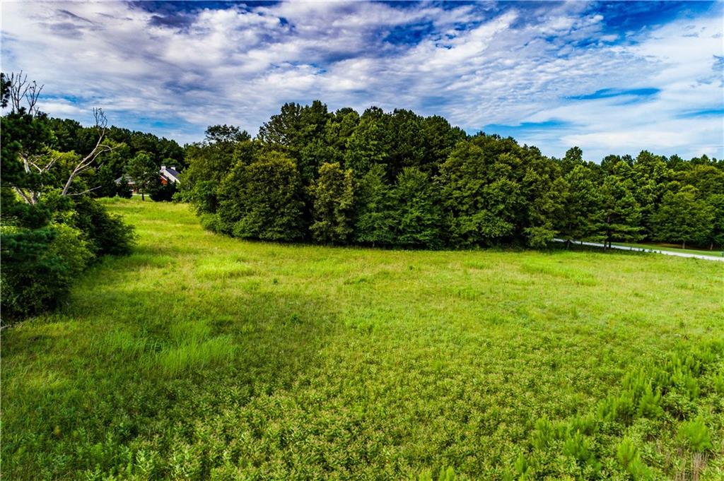 520 River View Road Covington, GA 30014 - Photo 7 of 7