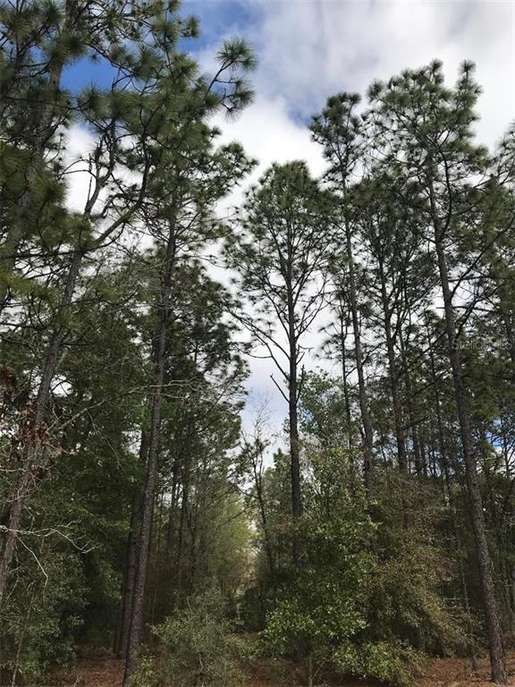88 Southwest 88th Place Road Dunnellon, FL 34431 - Photo 1 of 1