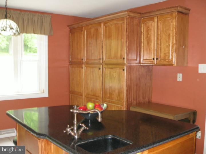 912 Tannerie Run Road Ambler, PA 19002 - Photo 3 of 24 Kitchen