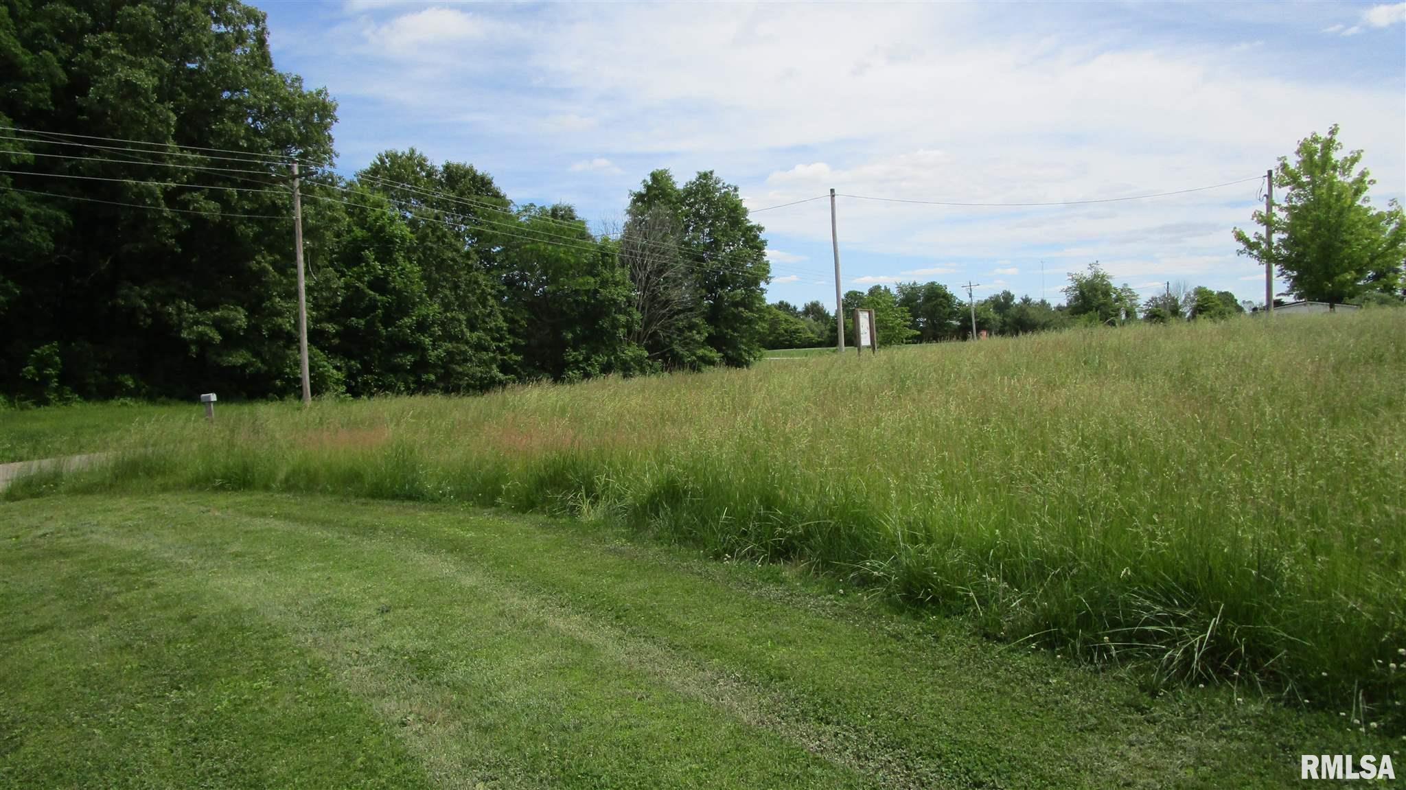 A Hanging Rock Road Flora, IL 62839 - Photo 1 of 6