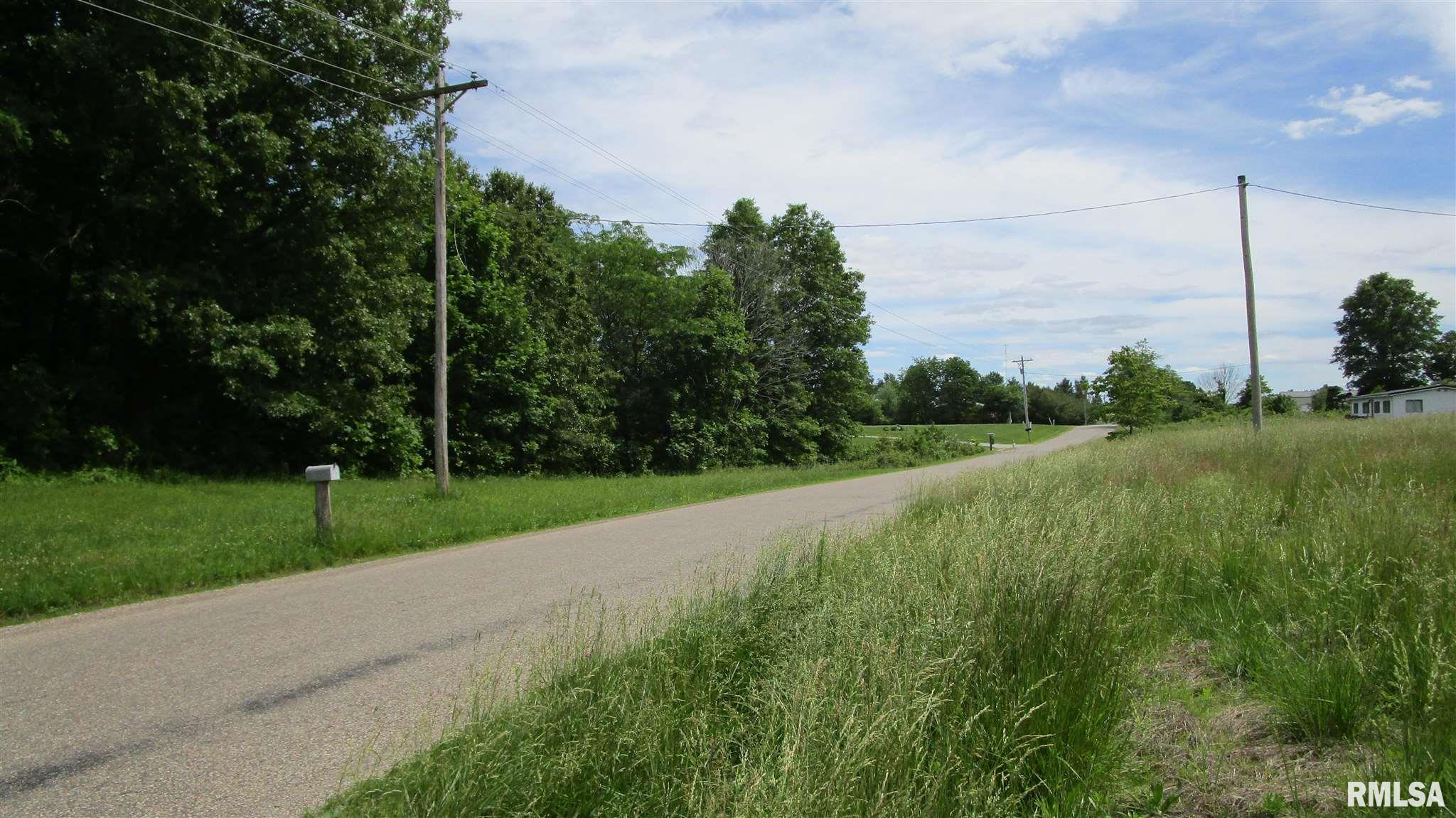 A Hanging Rock Road Flora, IL 62839 - Photo 2 of 6