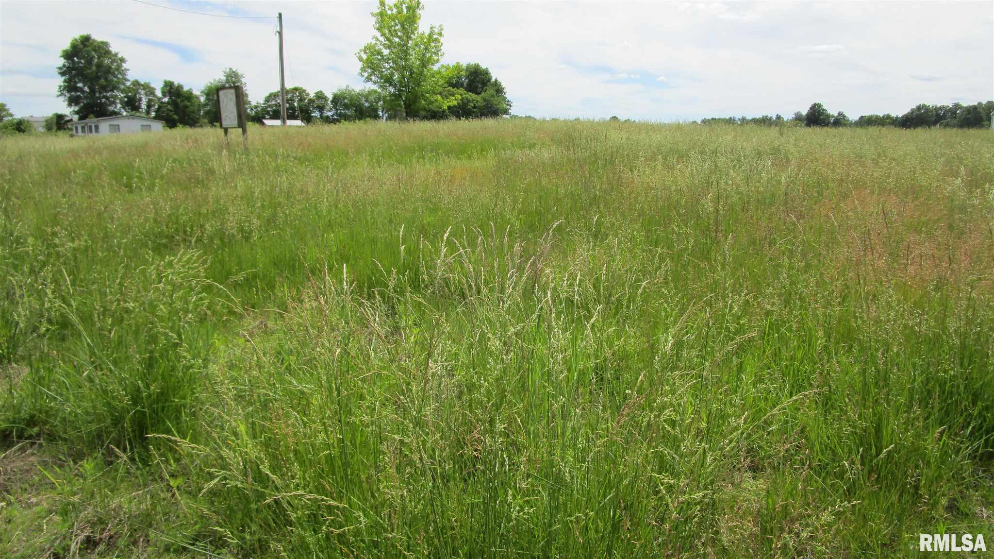 A Hanging Rock Road Flora, IL 62839 - Photo 3 of 6