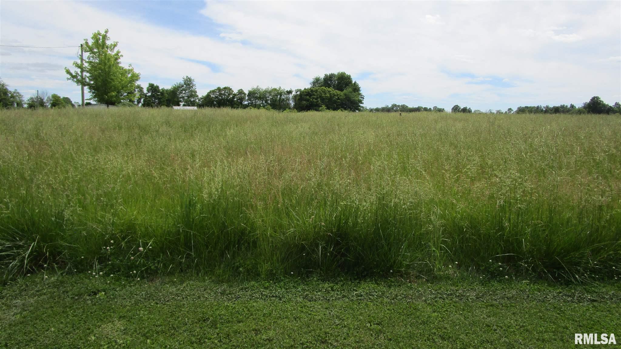 A Hanging Rock Road Flora, IL 62839 - Photo 5 of 6
