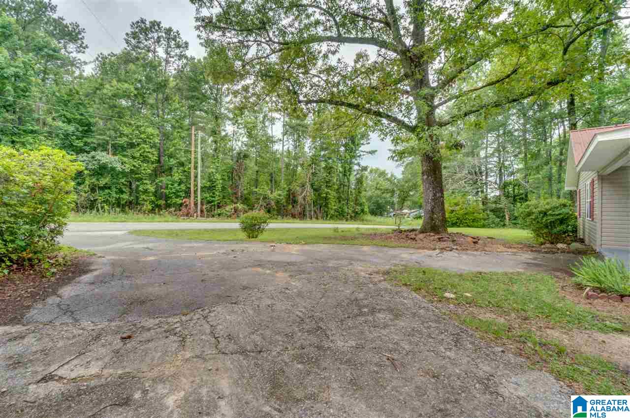 2995 County Road 77 Clanton, AL 35045 - Photo 39 of 50