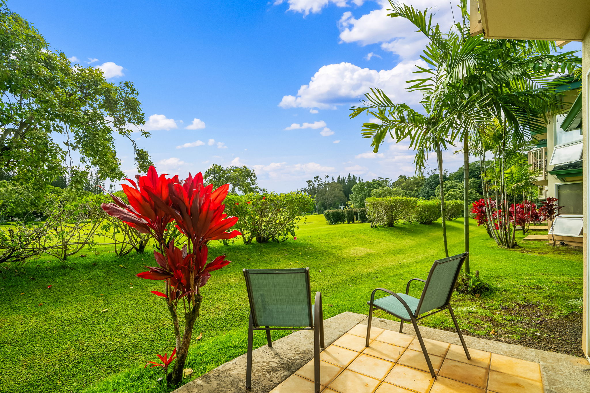 4141 Lei O Papa Road, Unit 6 Princeville, HI 96722 - Photo 23 of 26 a view of a table and chairs in patio yard