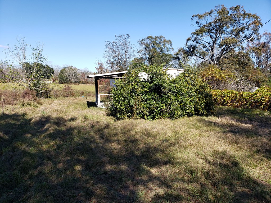 1556 Doyle Holland Road Slocomb, AL 36375 - Photo 30 of 38
