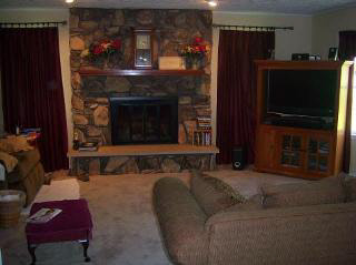 2266 Blue Bush Road Monroe, MI 48162 - Photo 5 of 9 Stone fireplace