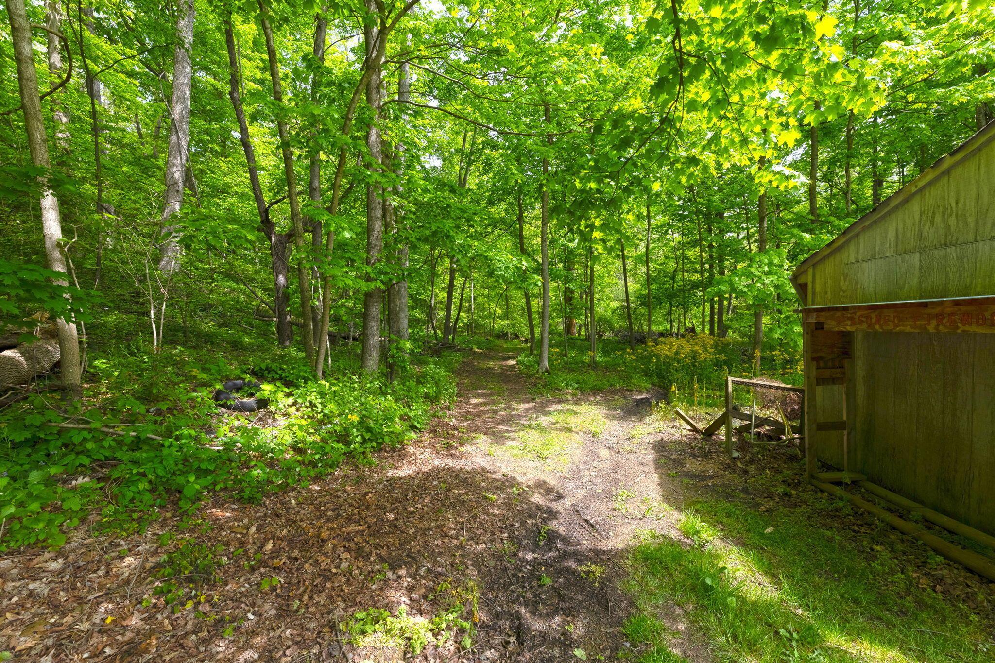 9777 Old Delaware Road Mount Vernon, OH 43050 - Photo 38 of 87 34-web-or-mls-9777OldDelawareRoadExt_Hom