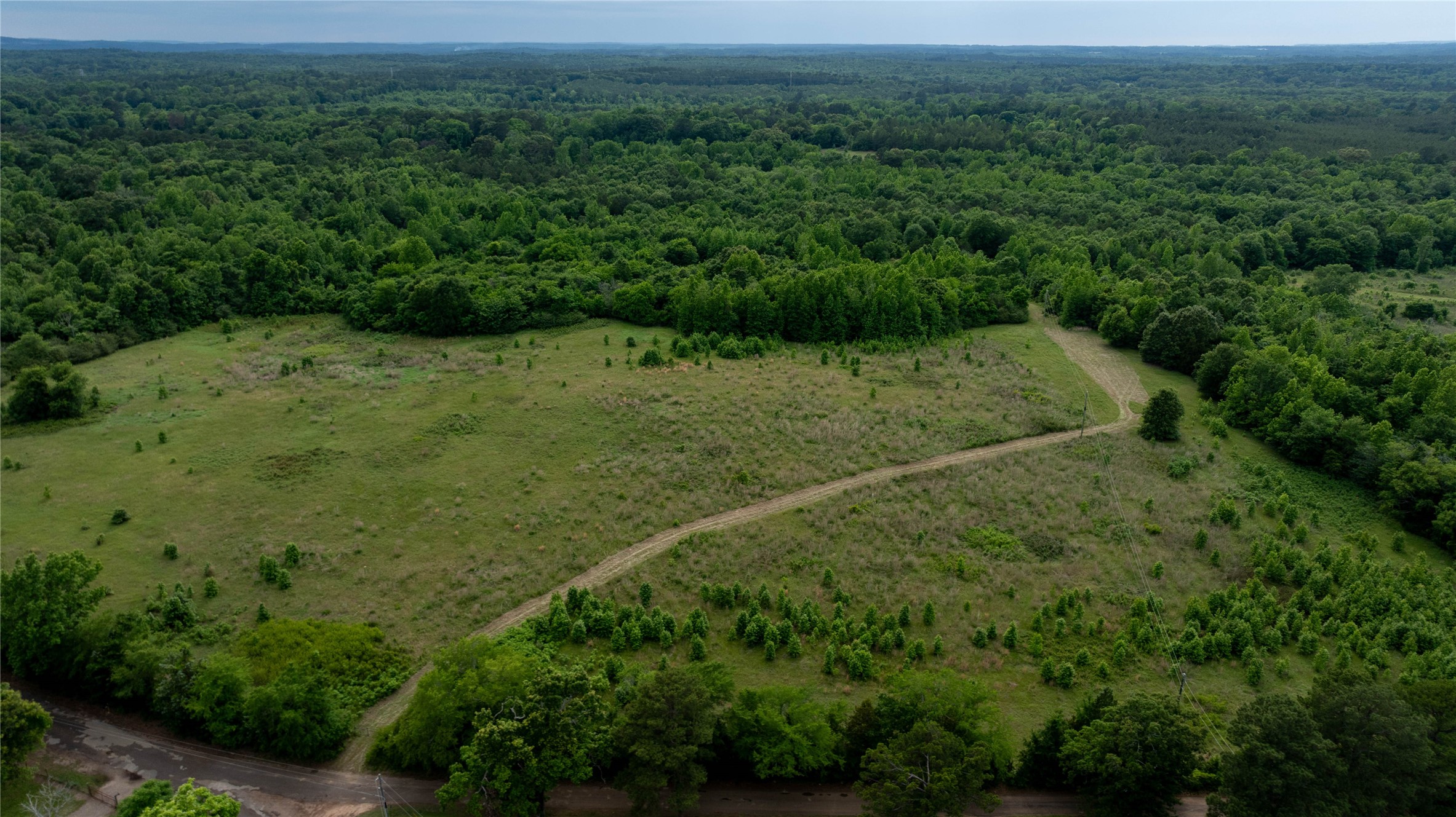 Lot 1 County Road Avinger, TX 75630 - Photo 13 of 20 Gallery Image 13