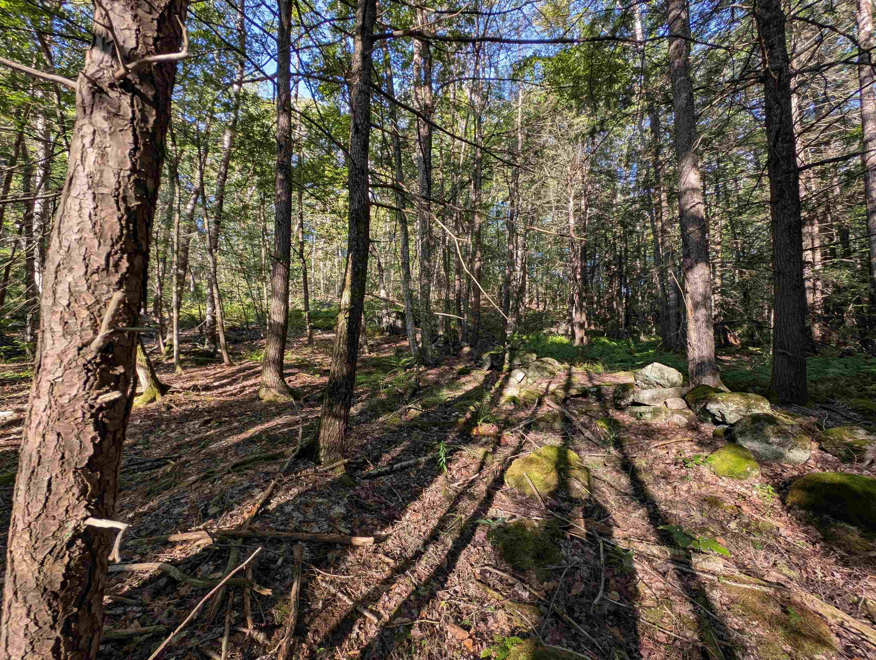 8-043-001 School House Road Francestown, NH 03043 - Photo 2 of 31