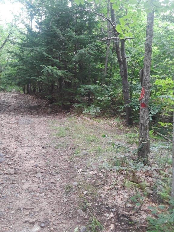 0 Abbott Mountain Road Shapleigh, ME 04076 - Photo 11 of 15 11. Left turn Abbott Mt 530 ft to prop
