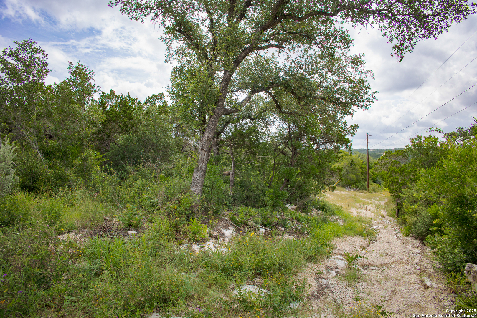 199 County Road 2733 Mico, TX 78056 - Photo 12 of 19 a view of a yard with plants and large trees