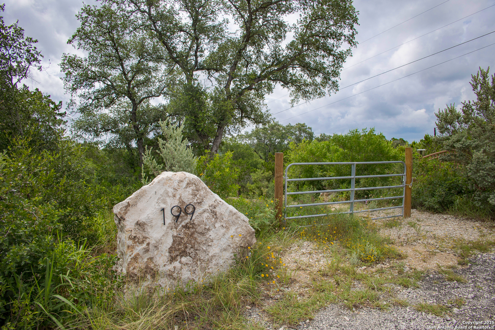 199 County Road 2733 Mico, TX 78056 - Photo 18 of 19 a view of a tiny house with a yard and large trees