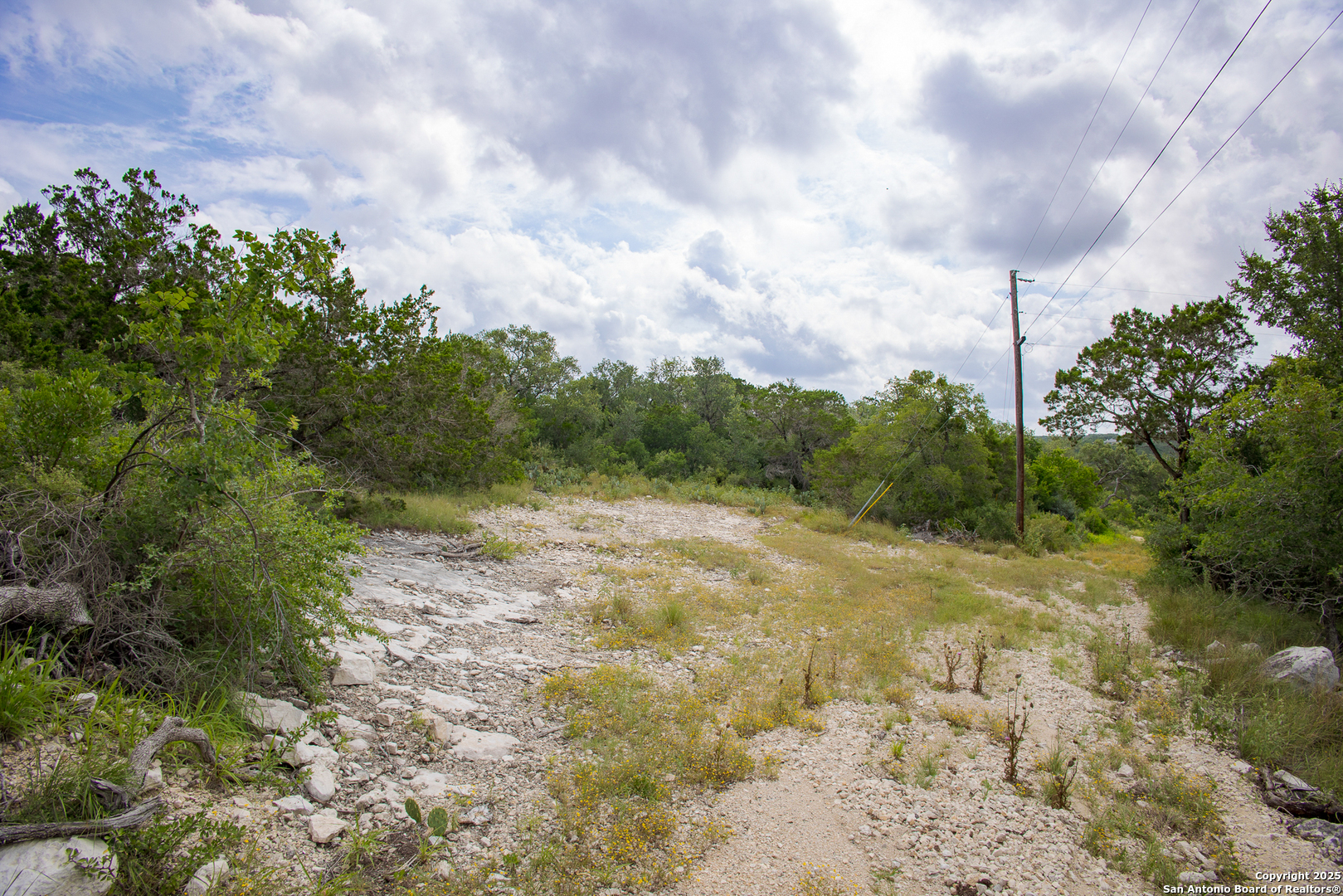 199 County Road 2733 Mico, TX 78056 - Photo 9 of 19 a big yard with lots of green space