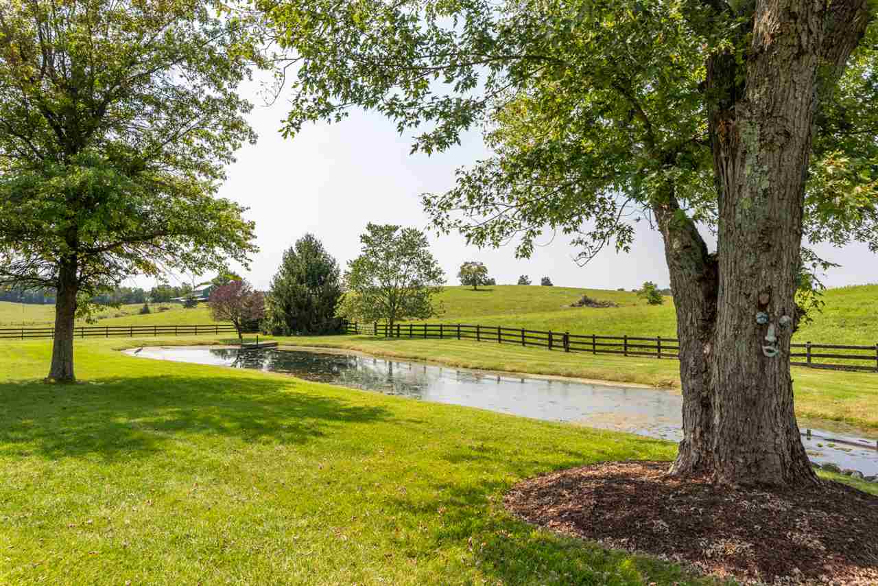 227 Baynes Road Waynesboro, VA 22980 - Photo 42 of 49 a view of a swimming pool with a yard and large trees