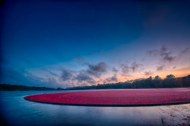 a view of red tennis court