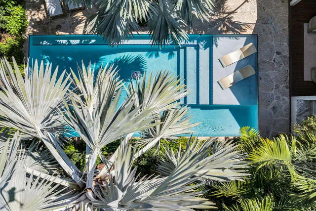 a view of a palm tree with a yard