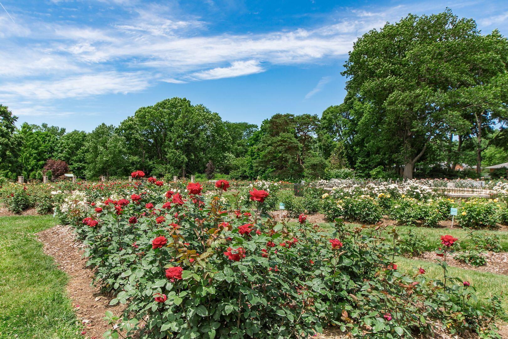439 Chatham Road Columbus, OH 43214 - Photo 50 of 56 Park of Roses