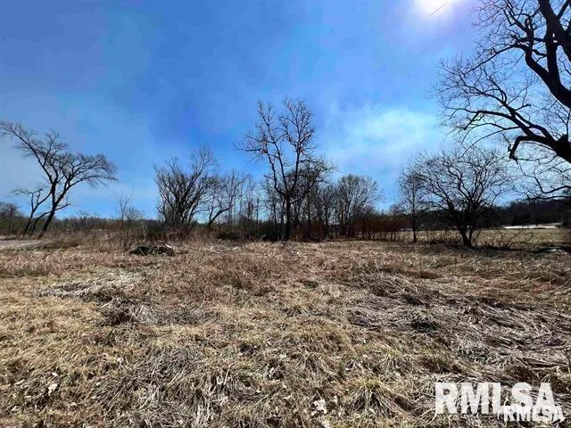 $12,400 | 4-lots Elm Drive, Jonesboro, IL 62952