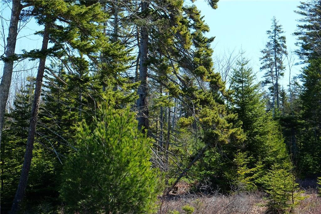 11 Bass Harbor Woods Road Bass Harbor, ME 04653 - Photo 3 of 8 Photo