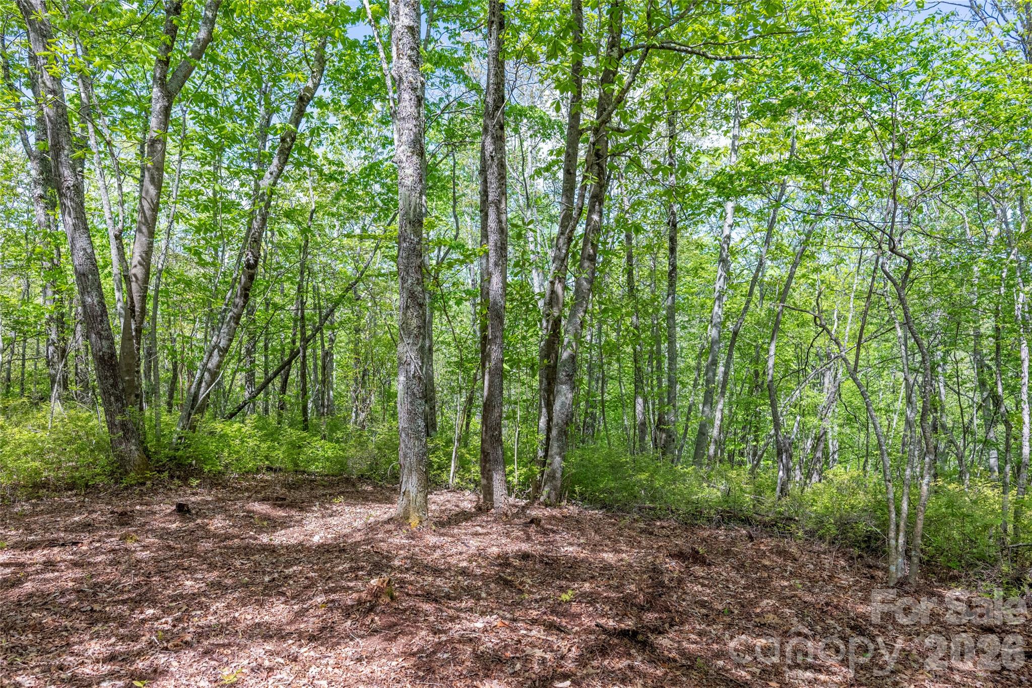 Tbd Long Rdg Road Lake Toxaway, NC 28747 - Photo 7 of 13