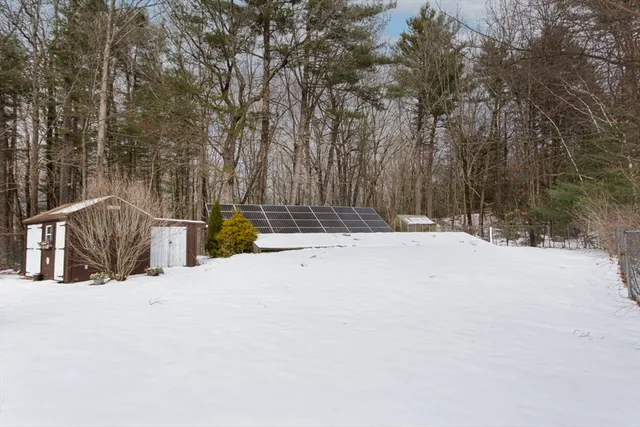 a view of the road and trees