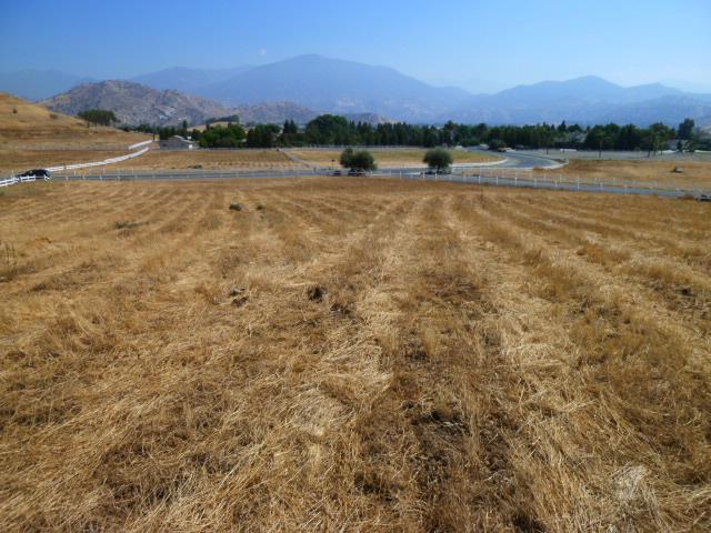 30915 Angus Loop Springville, CA 93265 - Photo 15 of 16 Additional Photo