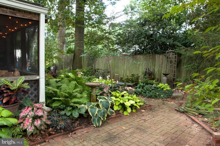 8916 Victoria Road Springfield, VA 22151 - Photo 5 of 24 Exterior (Rear)