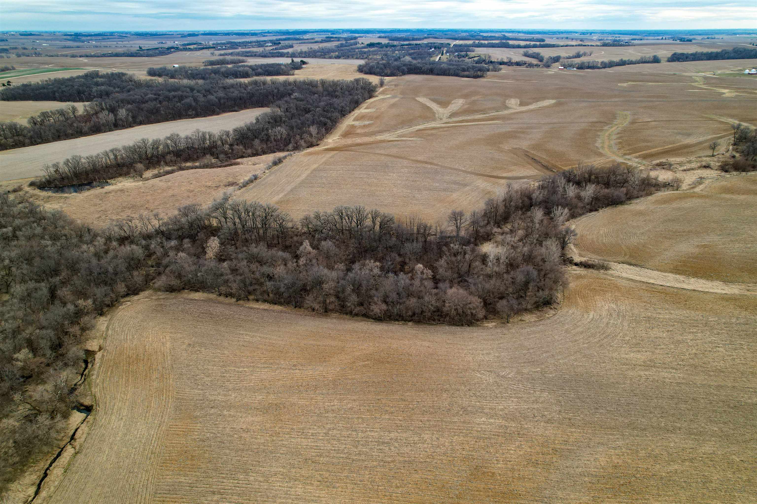 3605 Big Hill Road Chadwick, IL 61014 - Photo 72 of 99