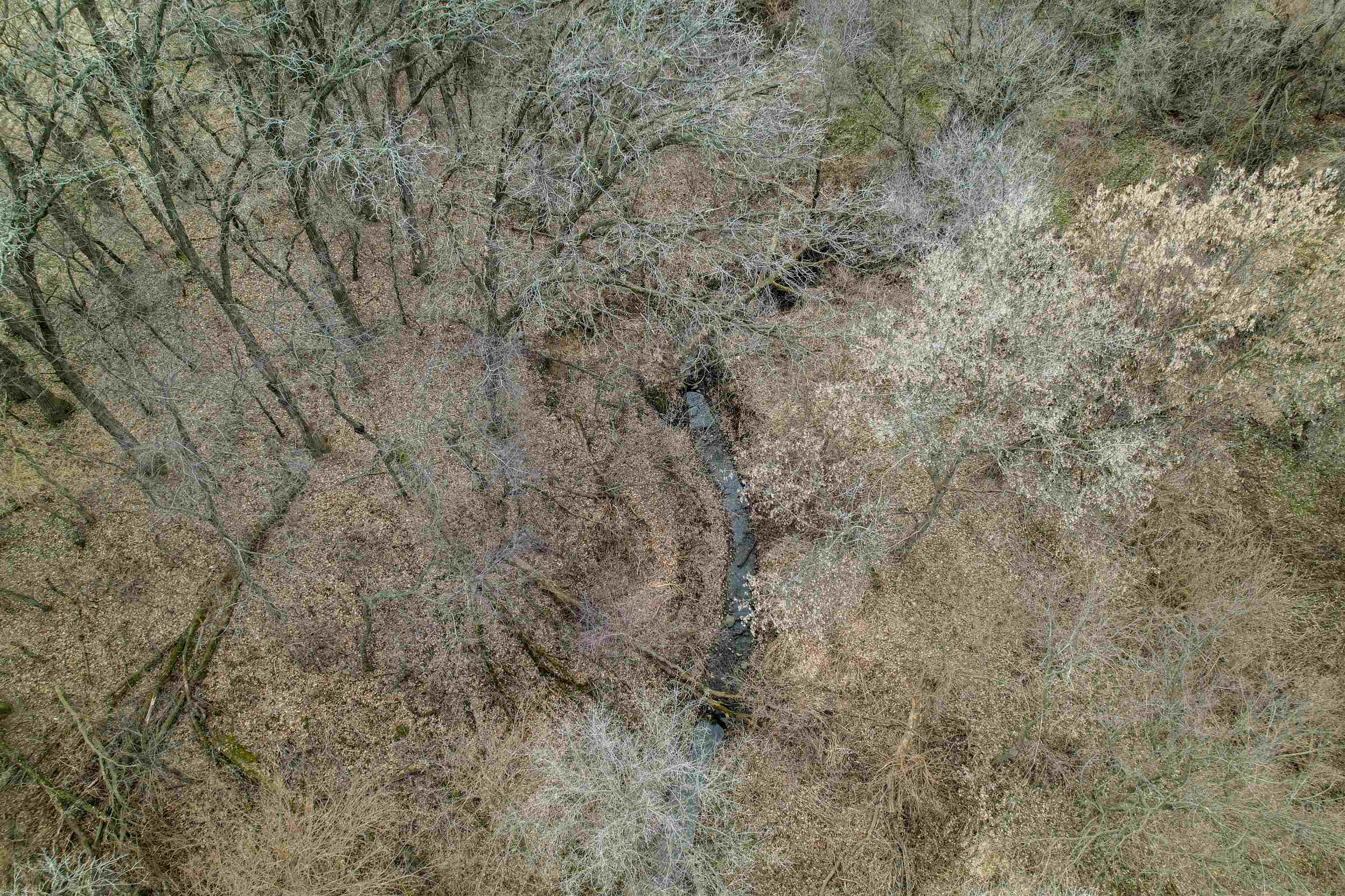 3605 Big Hill Road Chadwick, IL 61014 - Photo 74 of 99 a close up of a wall with a dry yard