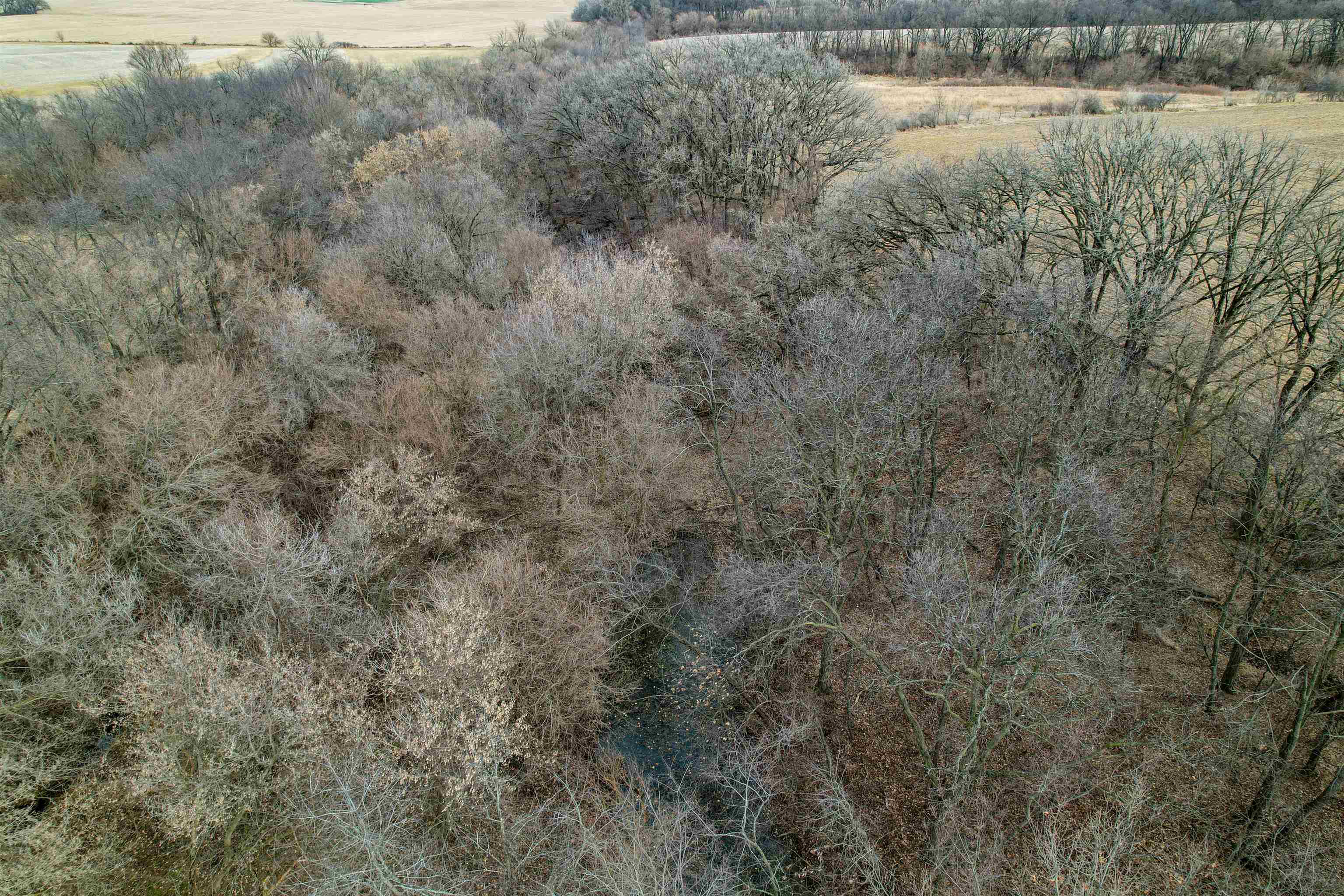 3605 Big Hill Road Chadwick, IL 61014 - Photo 76 of 99