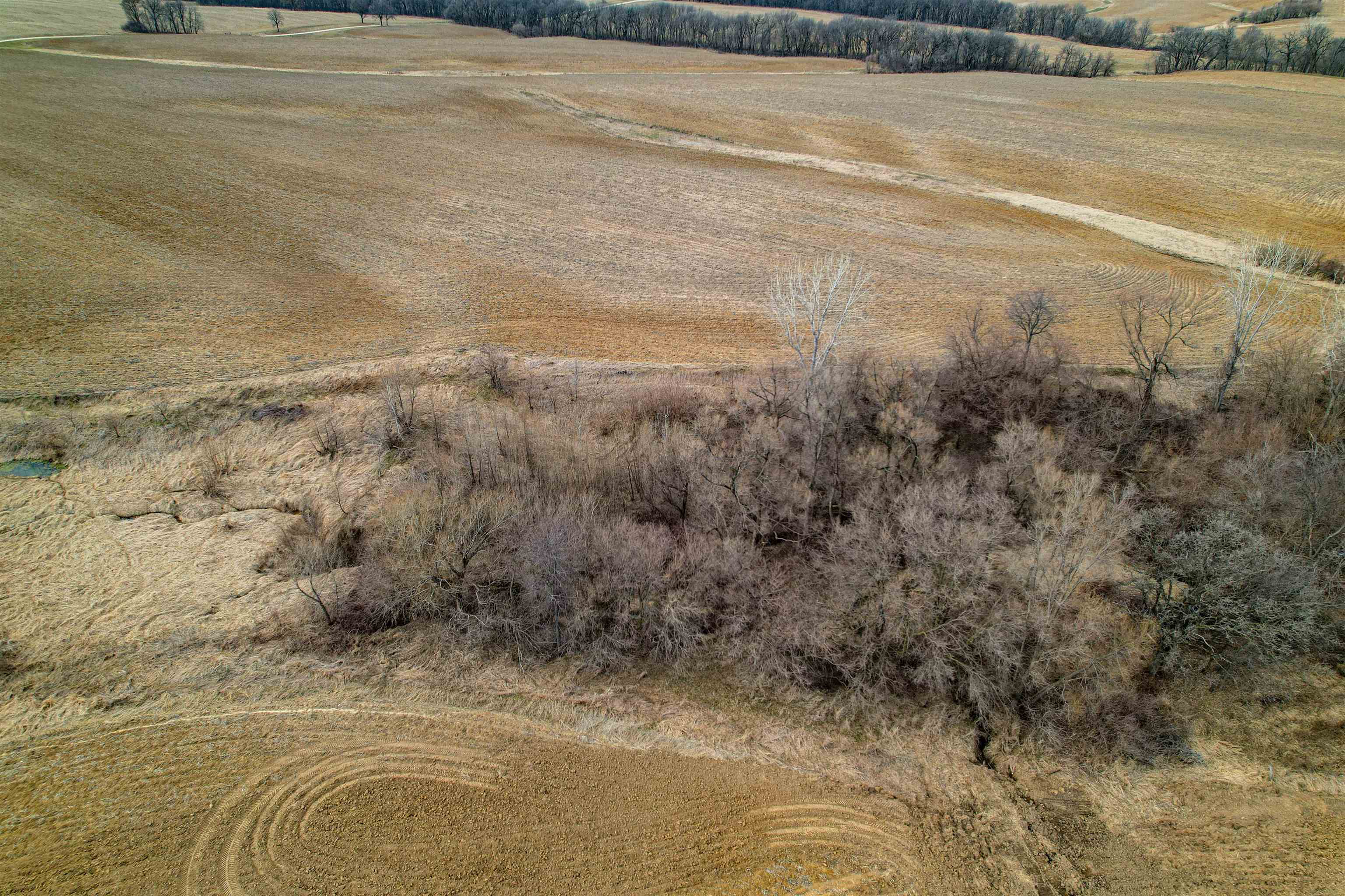 3605 Big Hill Road Chadwick, IL 61014 - Photo 86 of 99 a view of a dry yard with wooden fence