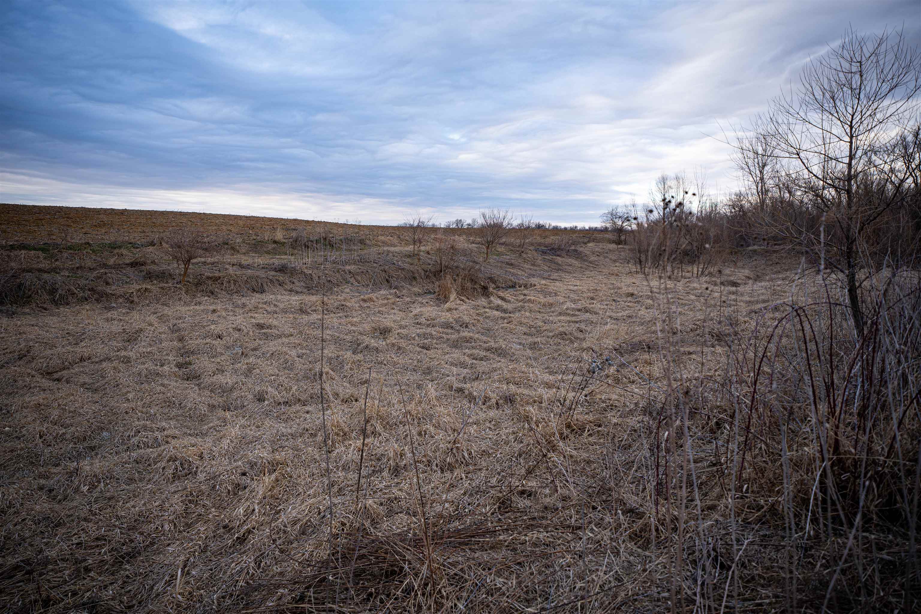 3605 Big Hill Road Chadwick, IL 61014 - Photo 96 of 99