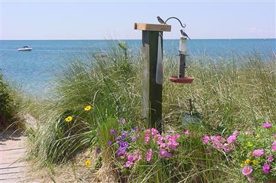 522 Shore Road, Unit 503 Truro, MA 02666 - Photo 17 of 18 Additional Photo
