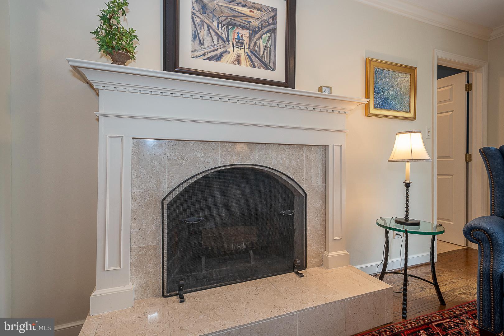 213 Ravenscliff Road Wayne, PA 19087 - Photo 25 of 68 Gas Fireplace