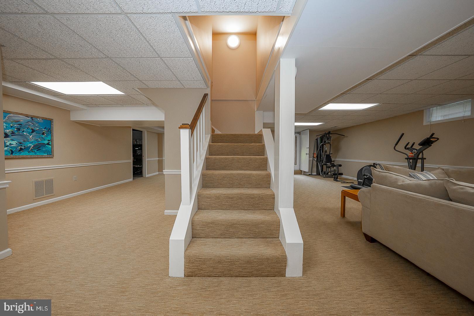 213 Ravenscliff Road Wayne, PA 19087 - Photo 54 of 68 Finished Lower Level