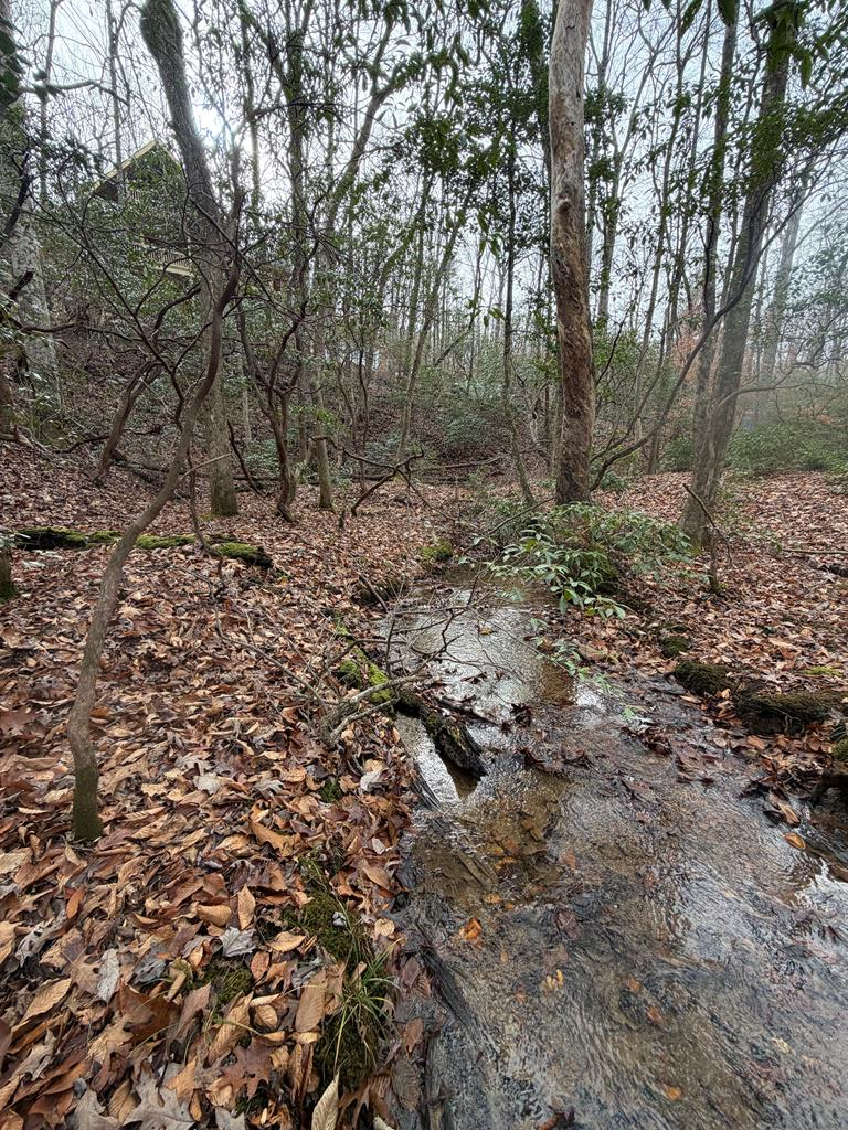 811 Mangum's Trail Blue Ridge, GA 30513 - Photo 63 of 70