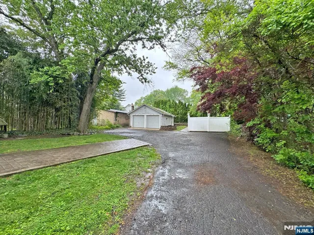 a view of a trees with yard