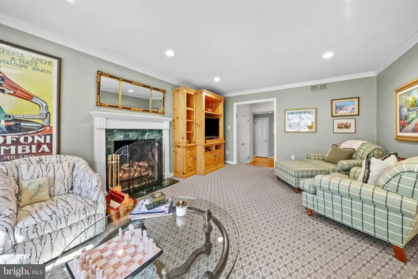a living room with furniture or couch and a potted plant