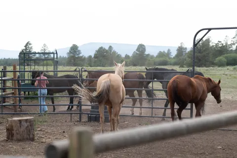 $5,400,000 | 7725 South 44z, Norwood, CO 81423