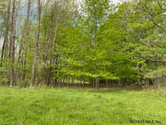 8 Eagle Mountain Road Summit, NY 12175 - Photo 2 of 2 Photo 2