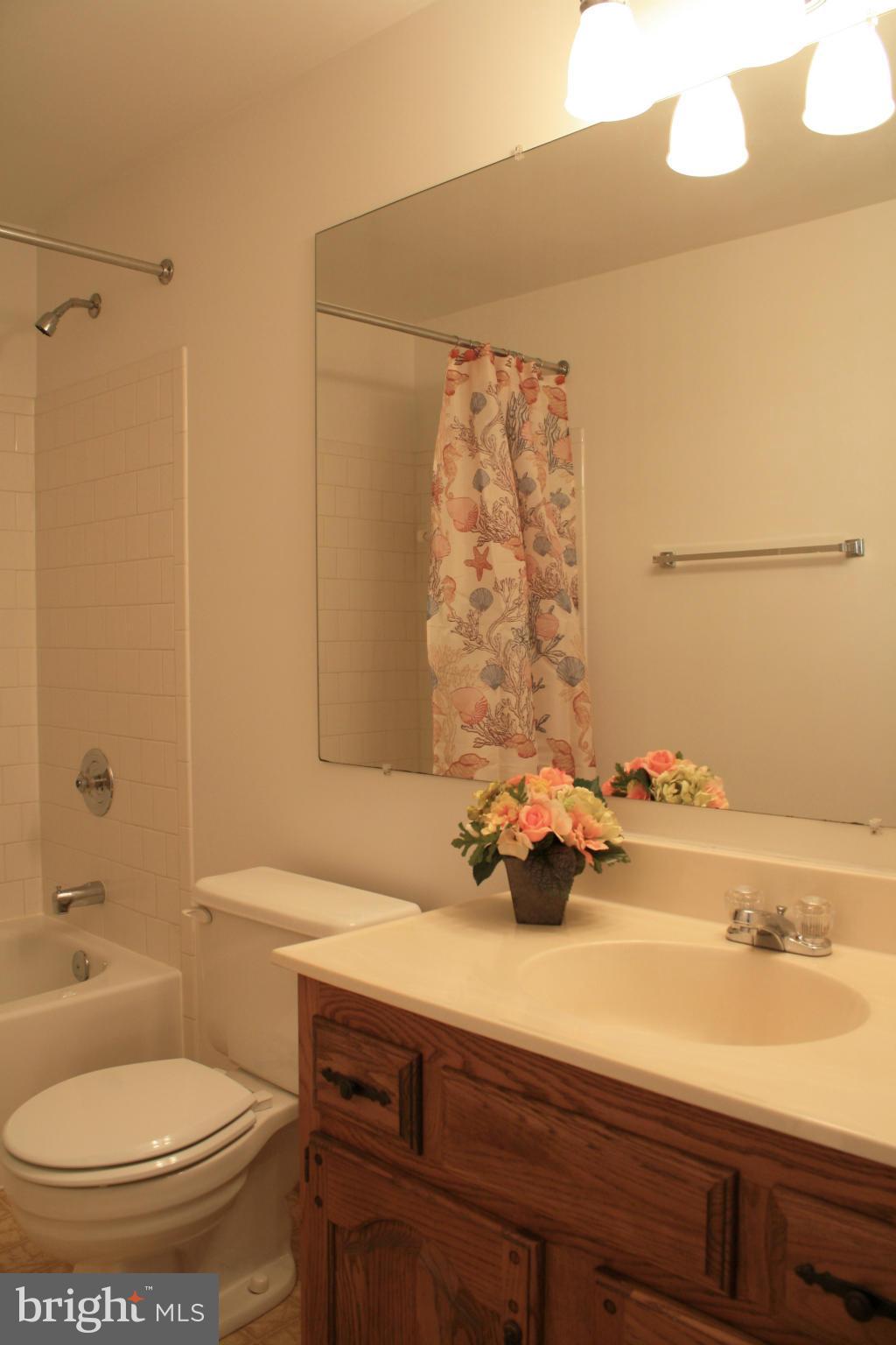 8623 Tower Bridge Way Lutherville-Timonium, MD 21093 - Photo 20 of 30 Bath