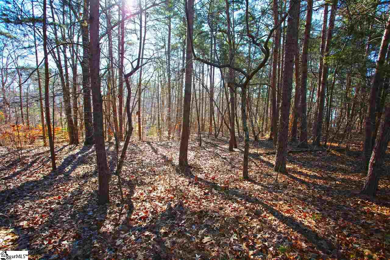 4 Views Court Seneca, SC 29672 - Photo 11 of 35