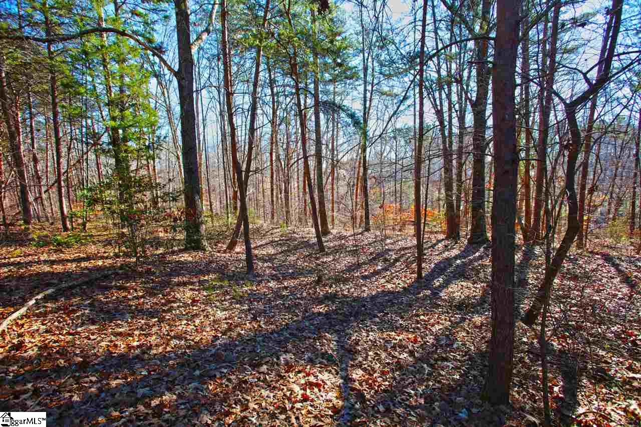 4 Views Court Seneca, SC 29672 - Photo 12 of 35