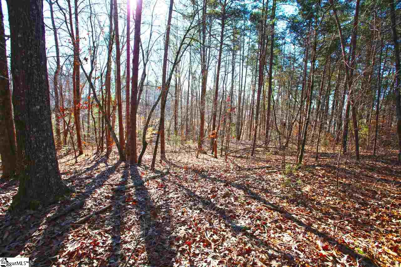 4 Views Court Seneca, SC 29672 - Photo 13 of 35
