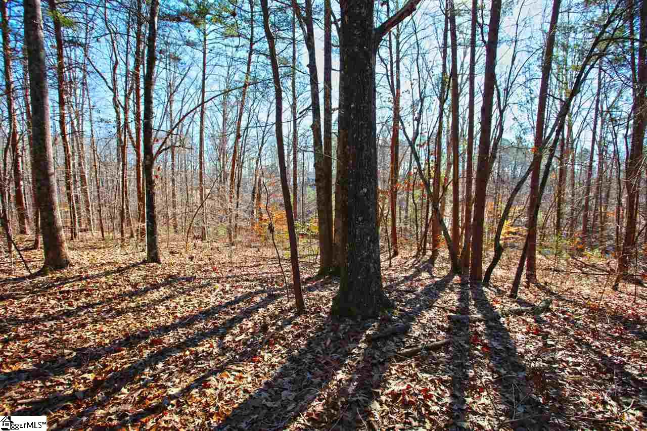 4 Views Court Seneca, SC 29672 - Photo 14 of 35