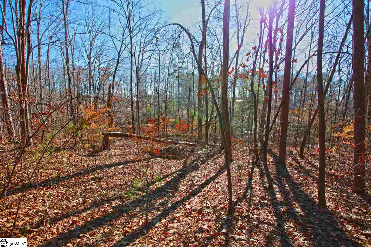 4 Views Court Seneca, SC 29672 - Photo 15 of 35
