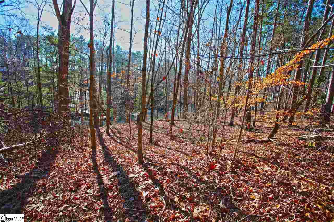 4 Views Court Seneca, SC 29672 - Photo 17 of 35