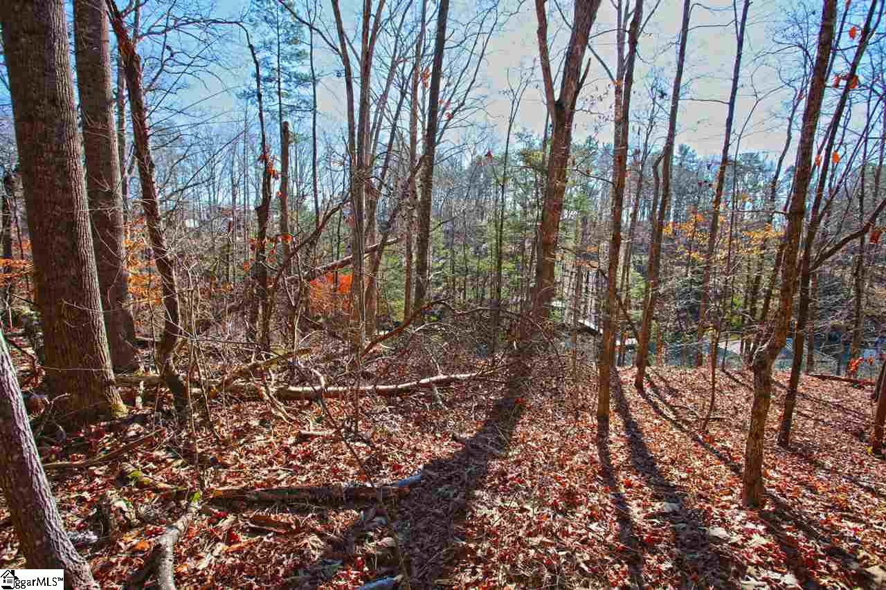 4 Views Court Seneca, SC 29672 - Photo 18 of 35