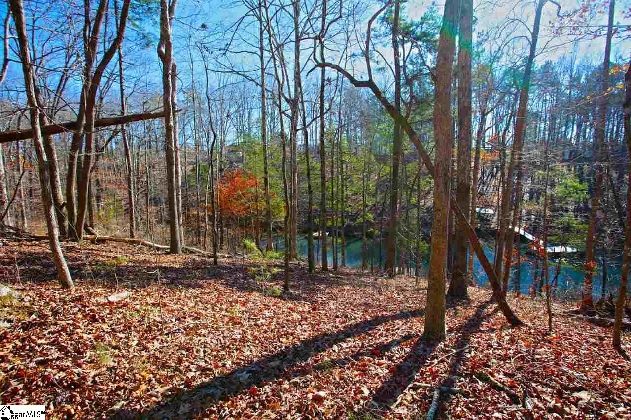 4 Views Court Seneca, SC 29672 - Photo 20 of 35